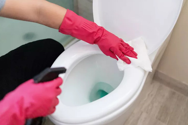 Cleaning and Sanitizing a Bidet
