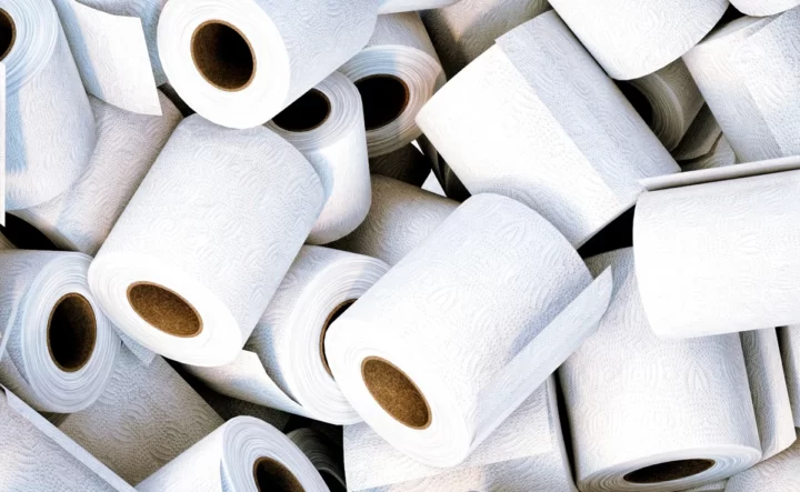 The Environmental Impact of Toilet Paper Usage