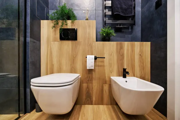 Bidets in Modern Bathrooms: Your Complete Guide